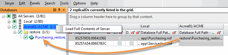 V11_replicEZ_FindReplica_PartialLoad.gif